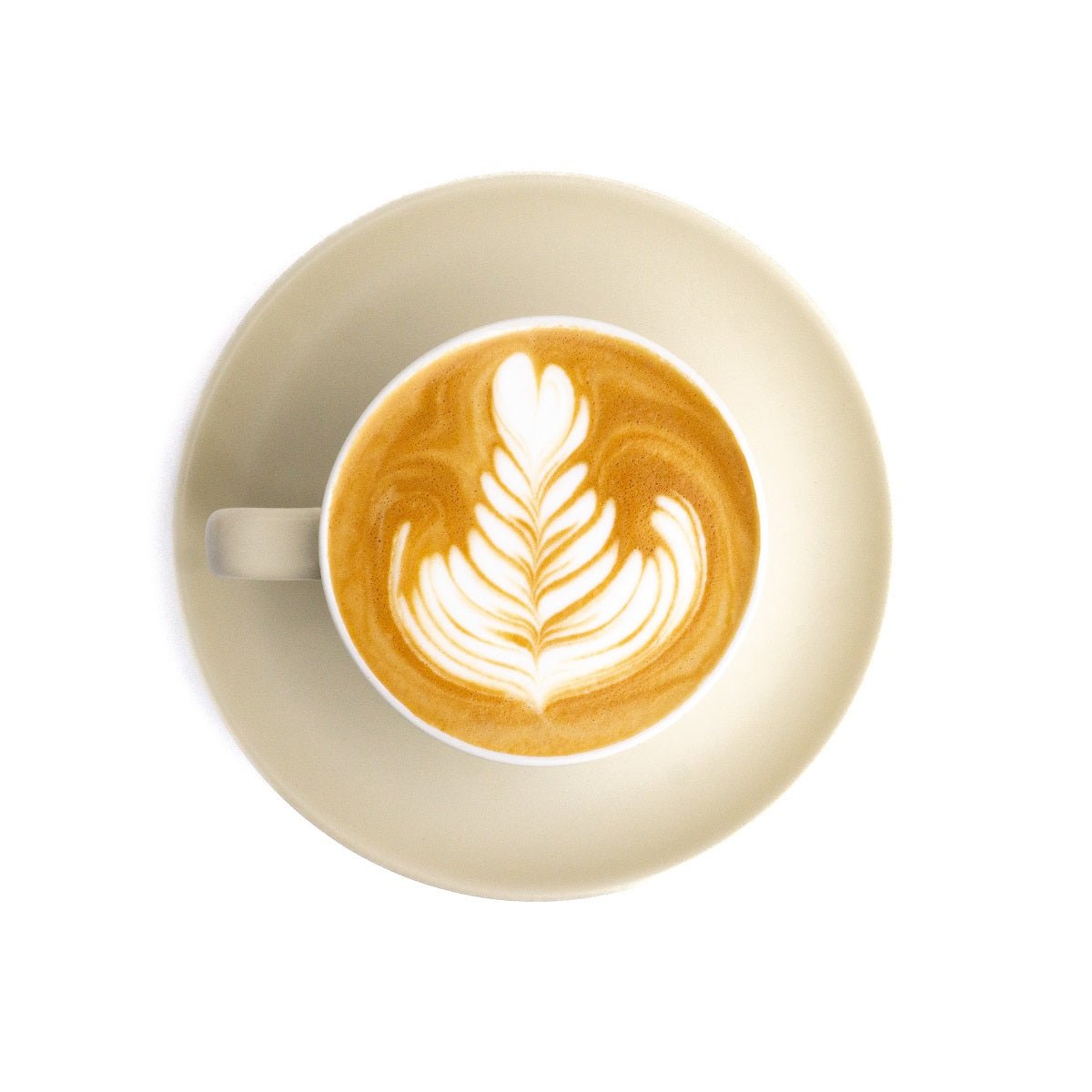 The Octobarista Reinhart Mug - Saint Anthony Industries